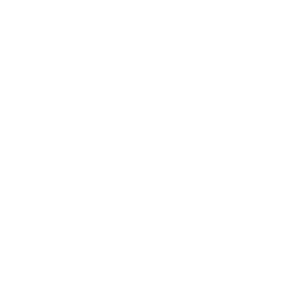 Elong Logo